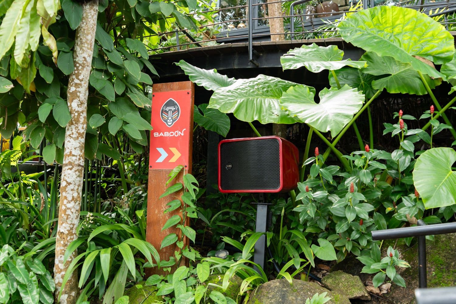 Image 4